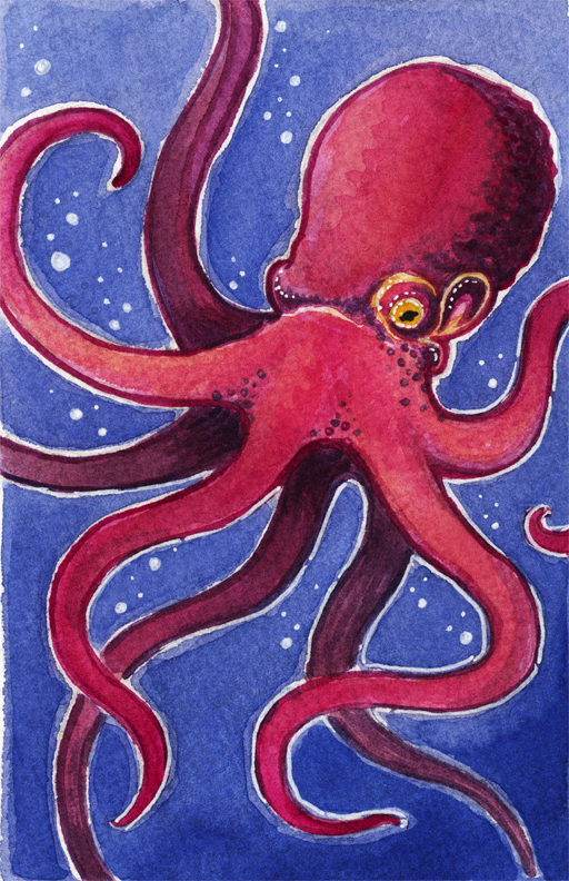 OctopusWeb