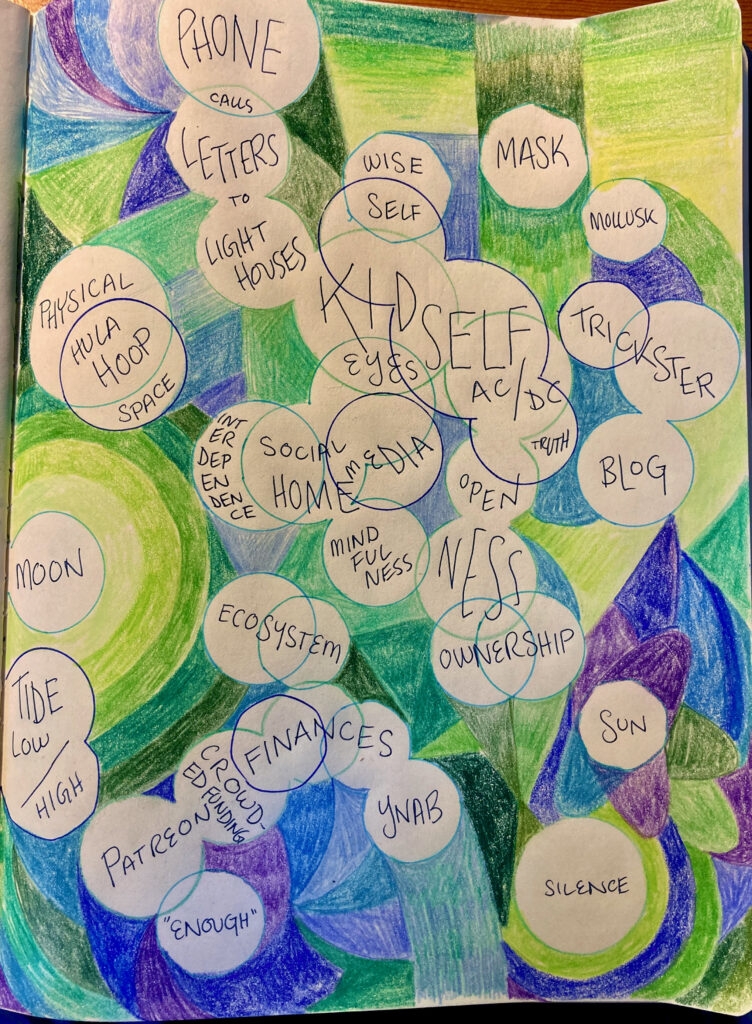 A trippy mess of overlapping circles labeled with things like ownership, mindfulness, kid self, hula hoop, trickster, ecosystem, low tide, and interdependence. The background is colored in with blues and greens.