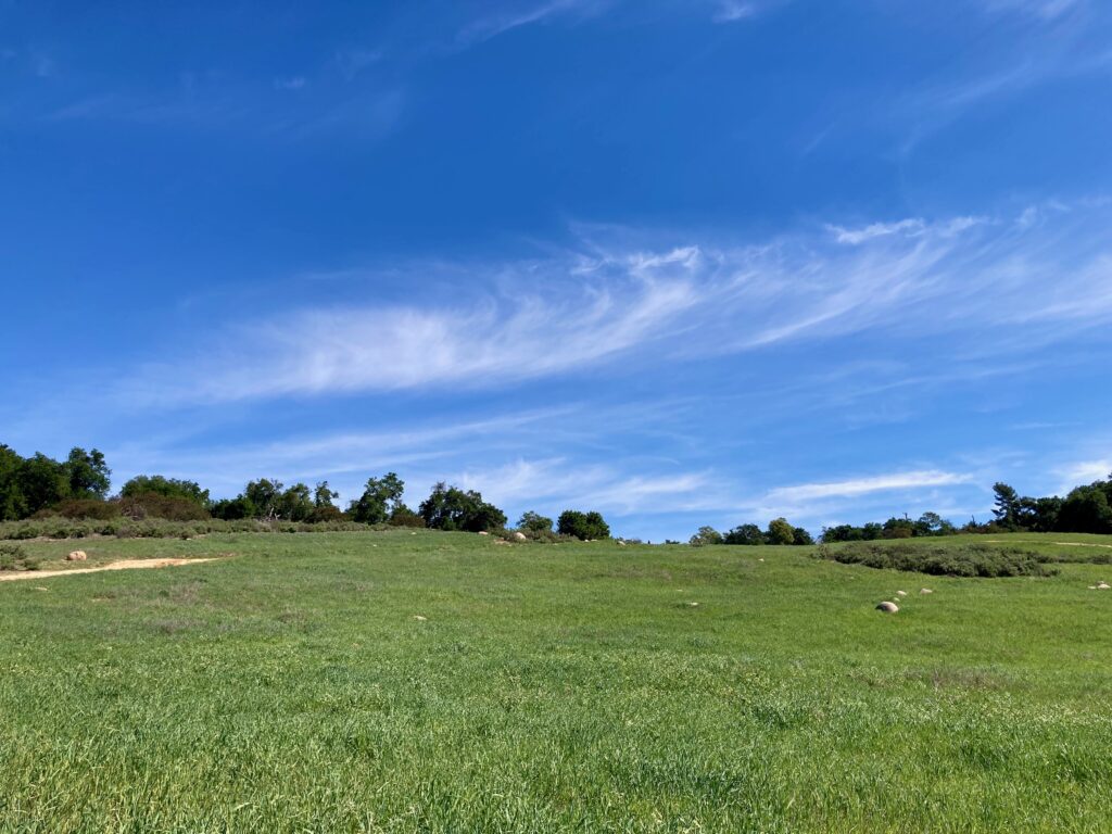 A photograph of a green, grassy hillside under a blue sky. There's a line of dark oaks at the horizon and a wash of white cloud in the sky.