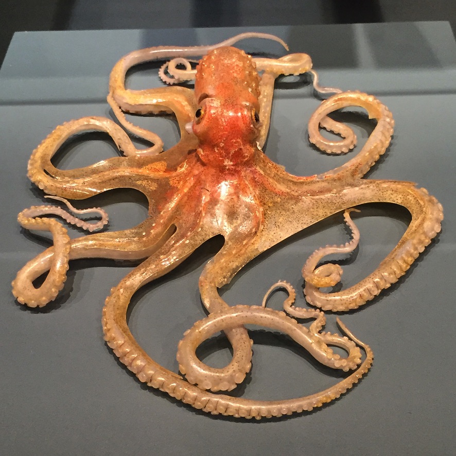 A detailed model of a small orange octopus crafted from glass