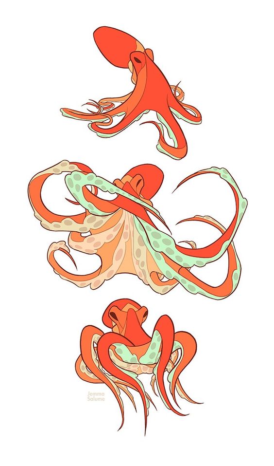 Three illustrations of an octopus in various poses