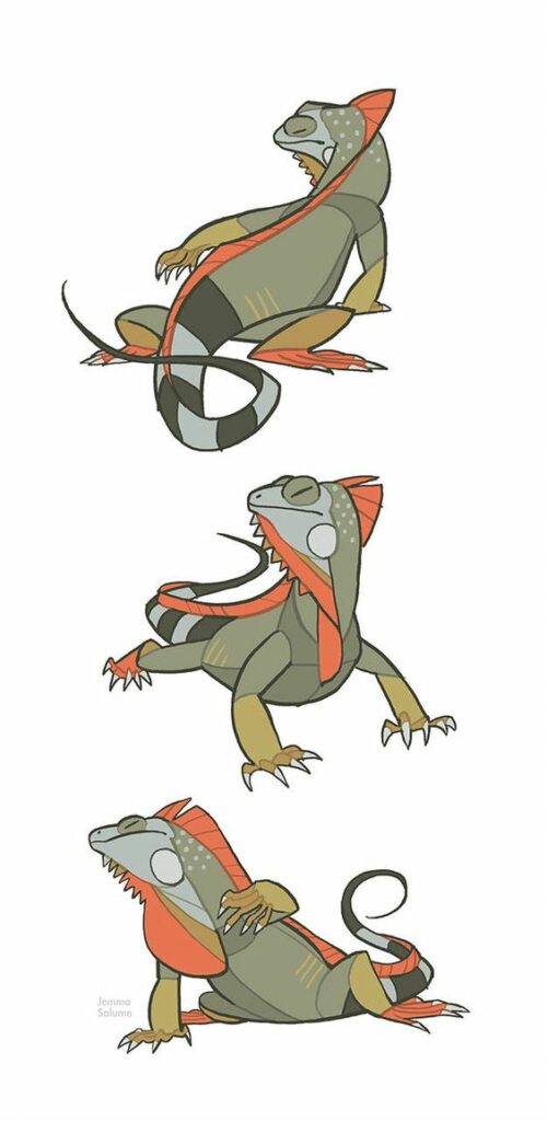 Three illustrations of an iguana in various poses
