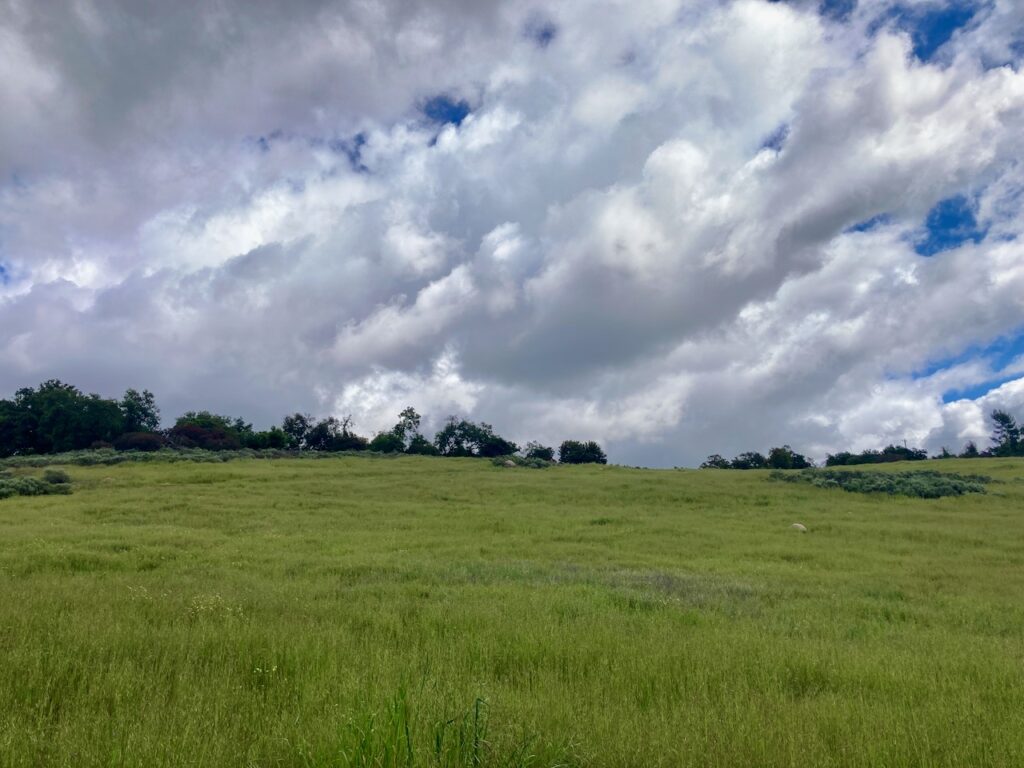 A hillside covered in lush grass with a cloudy expanse of sky above it.