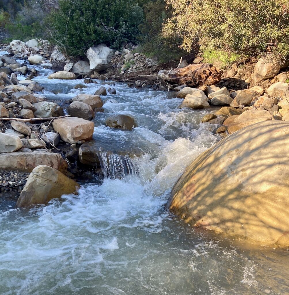 Thacher Creek rushing past sunlit boulders.