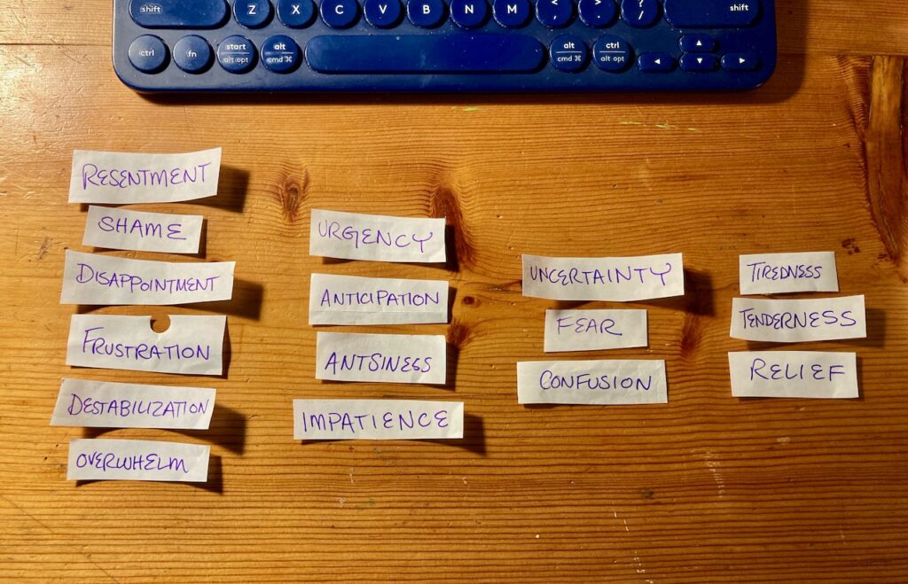 A collection of slips of paper, each bearing a word like resentment, shame, disappointment, urgency, anticipation, fear, or tiredness, sorted into columns.