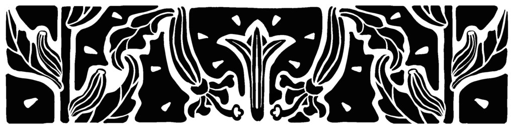A decorative divider of art nouveau-style clarkia seed pods.